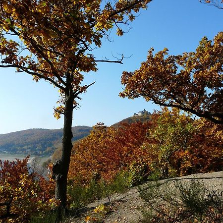 Belvedere - Das Bio Hotel Garni & Suitehotel Am Edersee ! Unser Geschenk Fuer Sie, Auch Die Gaestecard Grimmheimat! Waldeck  Bagian luar foto