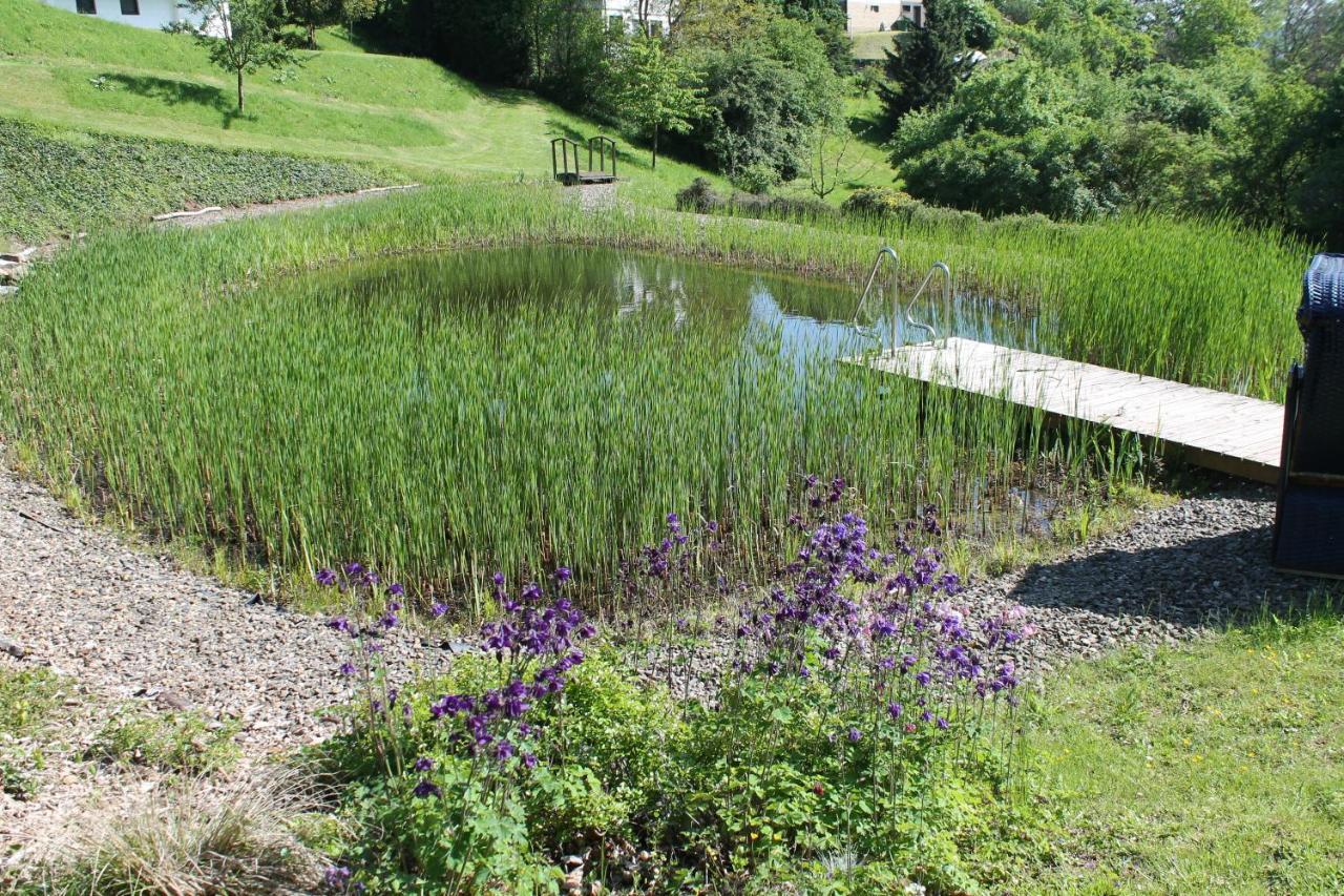 Belvedere - Das Bio Hotel Garni & Suitehotel Am Edersee ! Unser Geschenk Fuer Sie, Auch Die Gaestecard Grimmheimat! Waldeck  Bagian luar foto