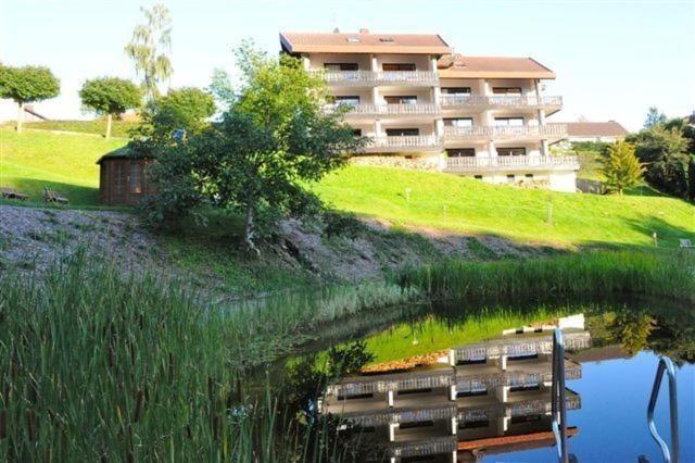 Belvedere - Das Bio Hotel Garni & Suitehotel Am Edersee ! Unser Geschenk Fuer Sie, Auch Die Gaestecard Grimmheimat! Waldeck  Bagian luar foto
