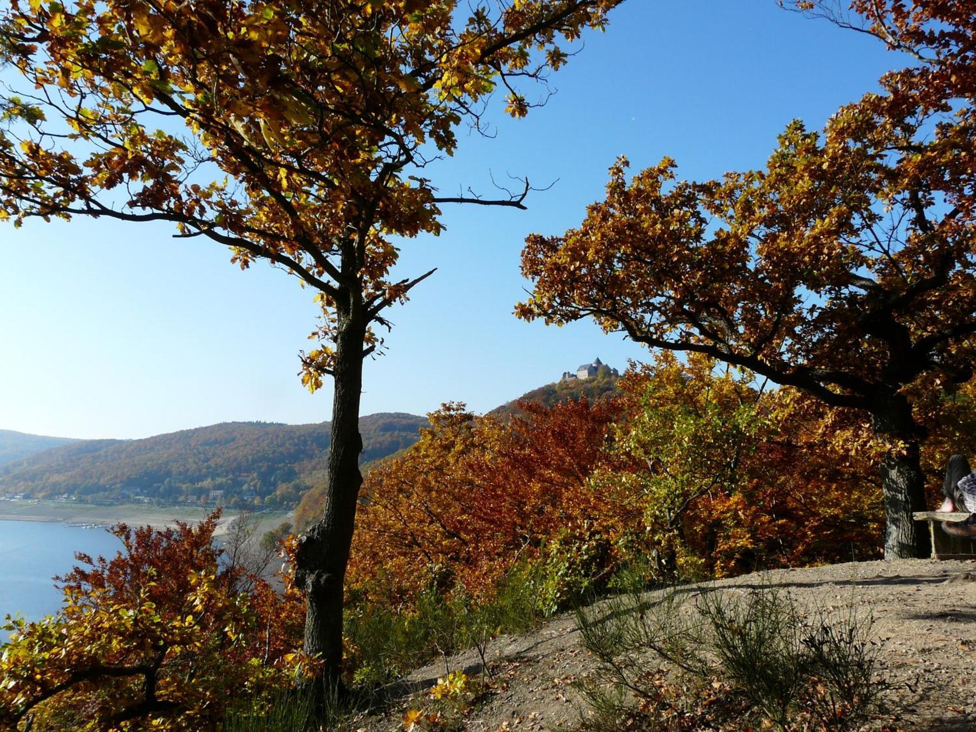 Belvedere - Das Bio Hotel Garni & Suitehotel Am Edersee ! Unser Geschenk Fuer Sie, Auch Die Gaestecard Grimmheimat! Waldeck  Bagian luar foto